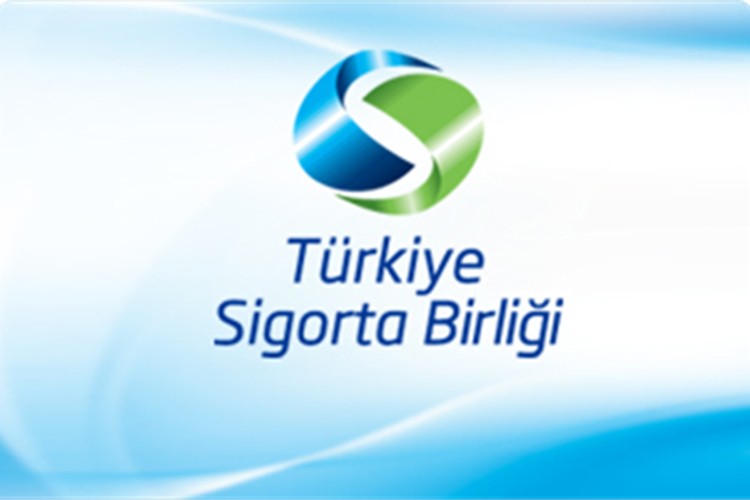 TSB eski tip ehliyeti olanları hak kaybına karşı uyardı: