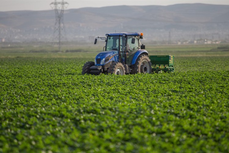 Kırsalda genç hamlesi