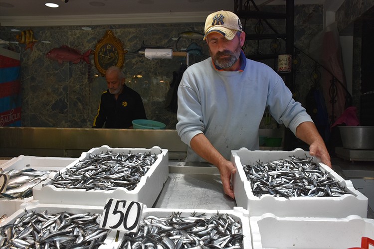 Trabzon'da hamsi ve istavrit 150 liradan satışa sunuluyor