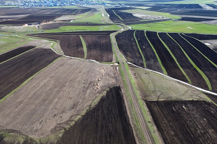 Kars'ta ekim yapılan tarım arazileri dronla görüntülendi