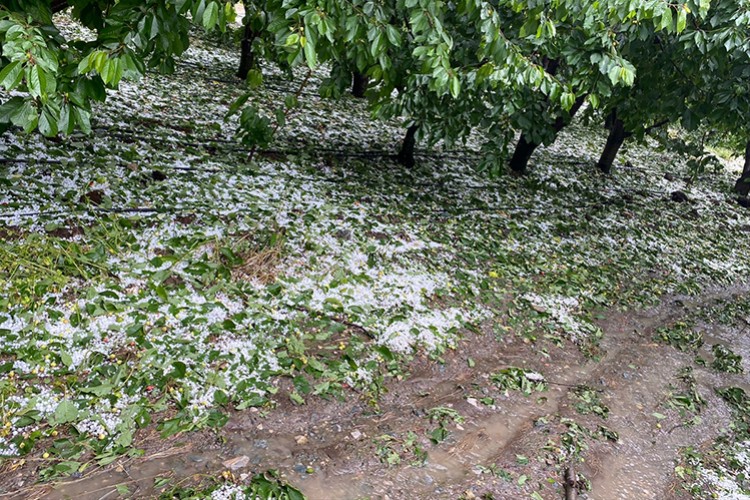 İzmir ve Denizli'de dolu yağışı etkili oldu