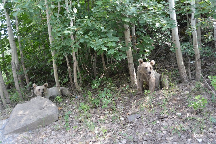 Nemrut Krater Gölü doğasıyla ziyaretçilerini ağırlıyor