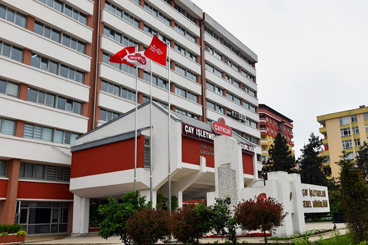 Bayramın 2. günü çay alımı başlıyor