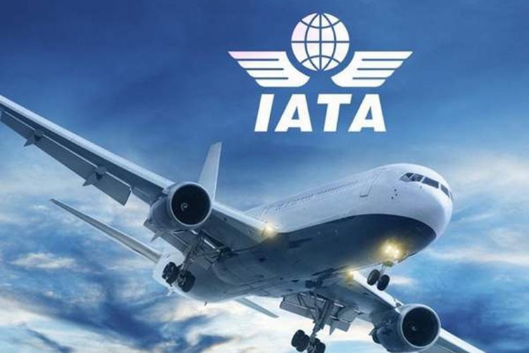 IATA, küresel hava yolu şirketlerinin bu yılki kar tahminini düşürdü