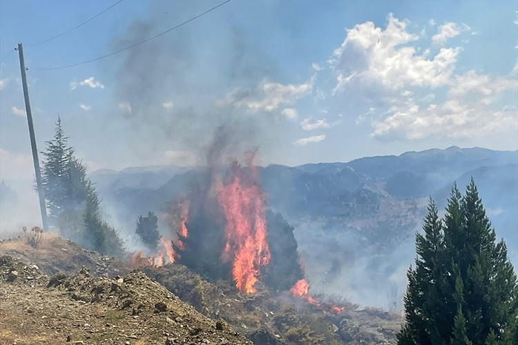 Alanya'da makilik alanda çıkan yangın kontrol altına alındı