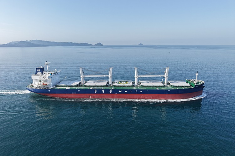 GSD Holding yeni gemi yatırımlarıyla büyüyor