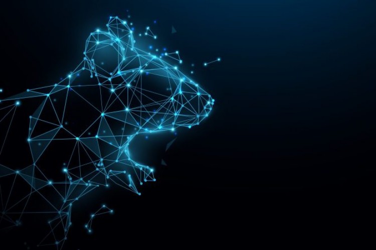 Kaspersky, Türkiye'deki kuruluşları hedef alan DinodasRAT Linux implantını keşfetti