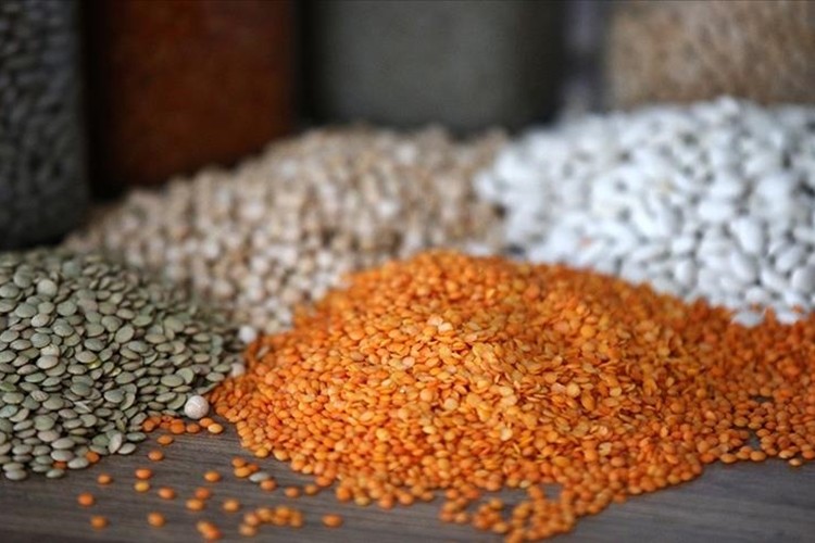 Güneydoğu Anadolu'dan 871 milyon dolarlık hububat ihracatı