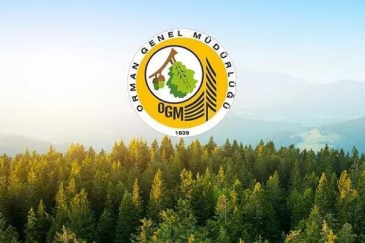 Orman yangınlarına müdahalede etkinlik "erken uyarı" sistemiyle arttı