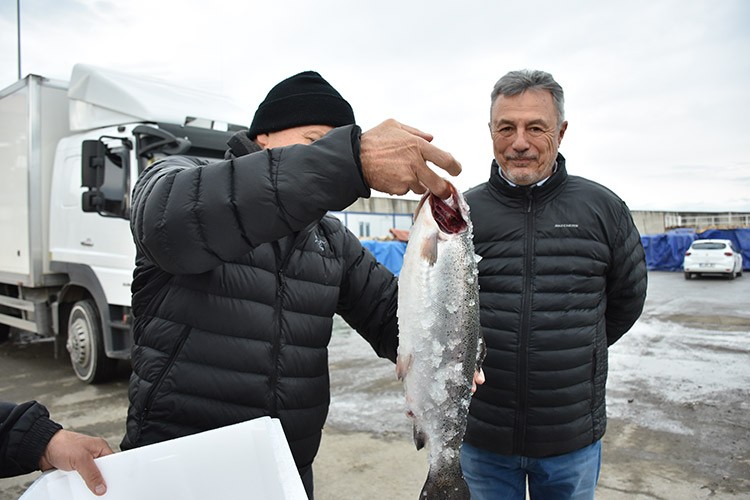 Türk somonu ihracatında gelir 6 yılda 82 kat arttı