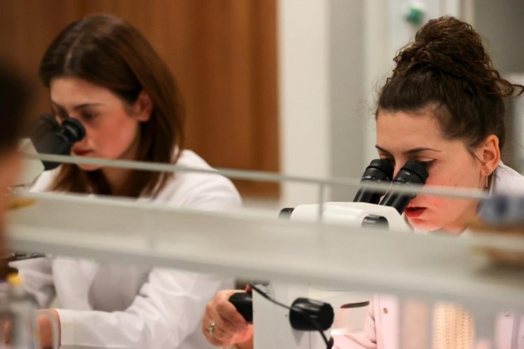 Arı zehrinin tümör hücrelerini yok edici etkisi