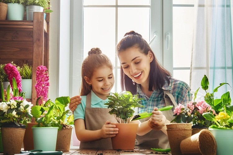 Çiçek ihracatı 44 milyon dolara ulaştı