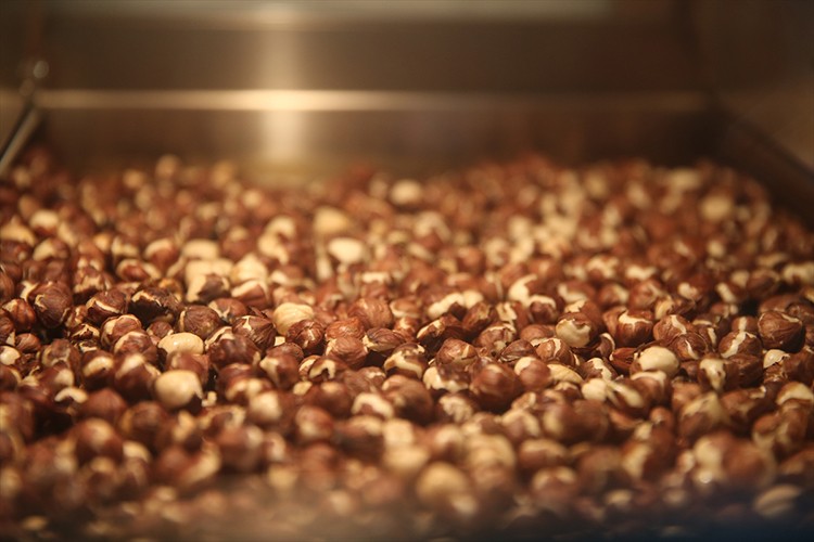 Üreticiler kurdukları işletmelerde fındığa değer katıyor