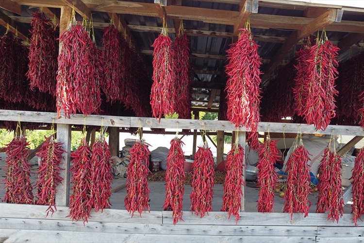 "Çukurören biberi"nde kurutma mesaisi başladı