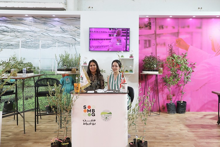 Tunus'ta Zeytin ve Zeytinyağı Teknolojileri Fuarı düzenlendi