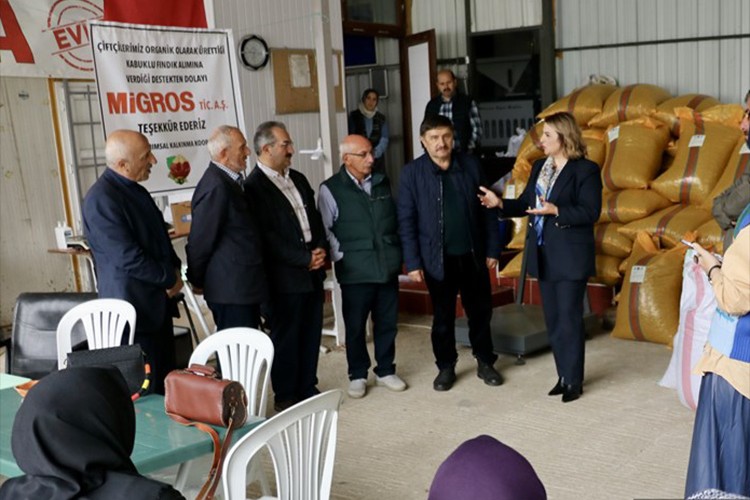 Trabzon'dan 10 ton organik fındık aldı