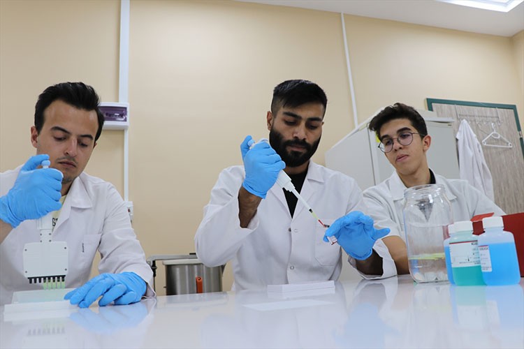 Viral hastalıklar için iyileştirici ürünler geliştiriliyor