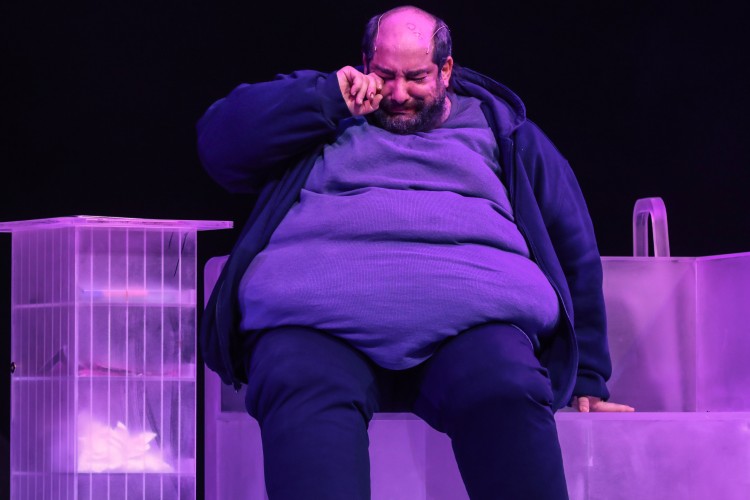 Zorlu PSM'de Bu Hafta; 26 Şubat – 3 Mart