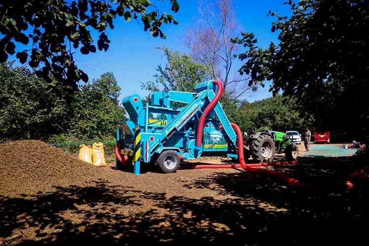 Fındık üretiminde zorlu patoz mesaisi başladı