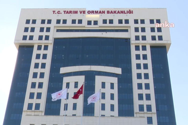 Hayvan hastalıkları için ödenecek tazminatlara düzenlendi