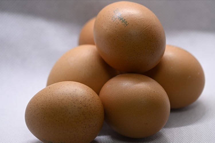 Rusya, Türkiye'den 1,5 milyon adet yumurta ithal etti