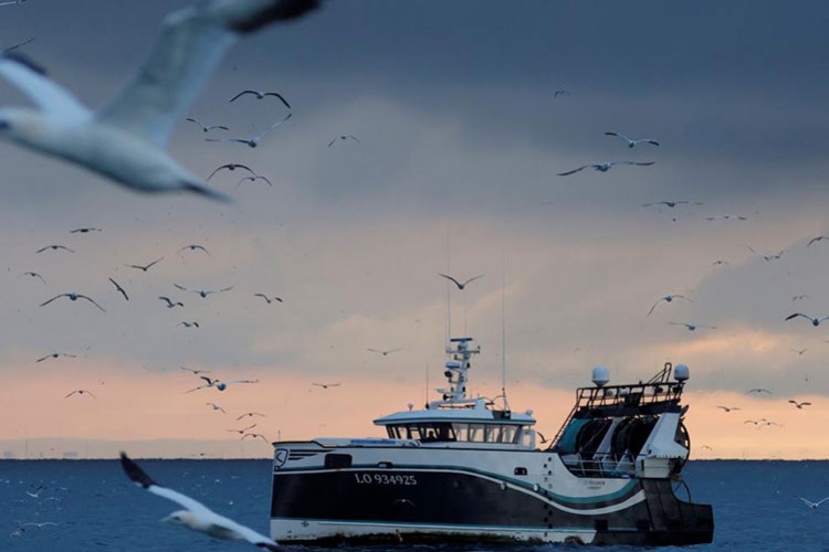 İngiltere 23 Fransız teknesine izin verdi