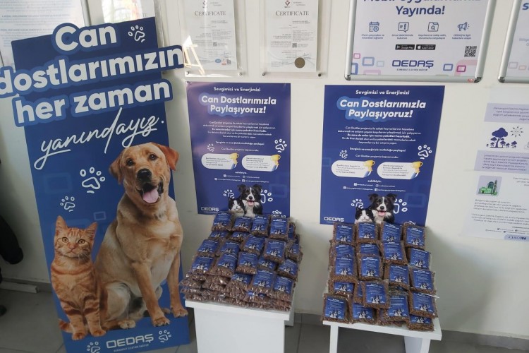 OEDAŞ sokaktaki can dostları unutmadı