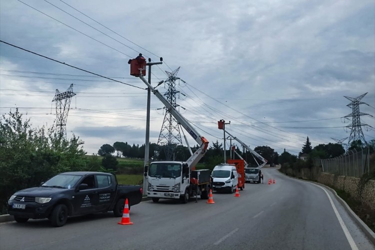 Leylekler elektrik çarpmalarından korunuyor