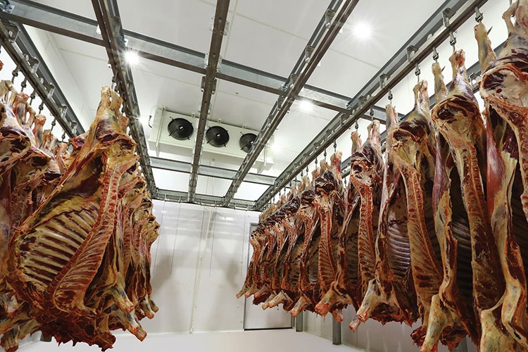 Yeni yönetmelikle mezbahalara zorunluluk geliyor