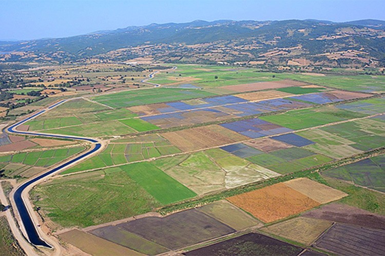 Tarla içi geliştirme çalışması yapılacak