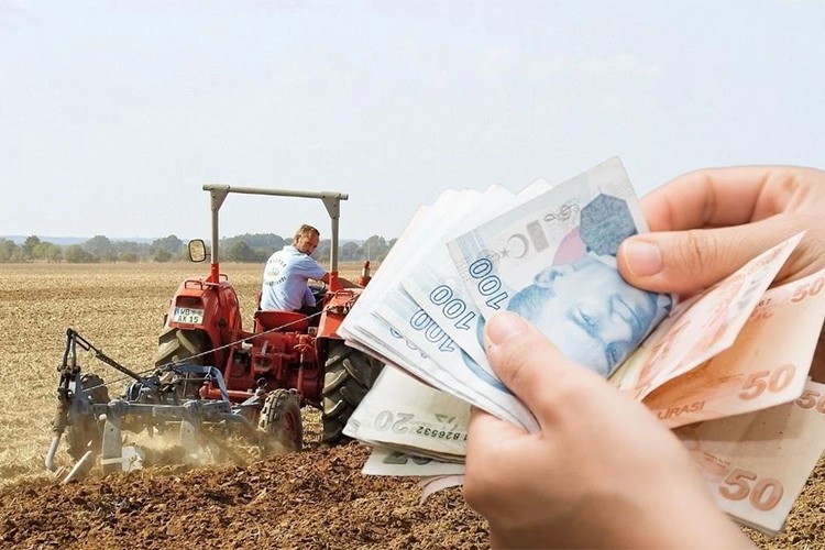 Tarımsal girdi fiyatları aylık yüzde 1,39 arttı