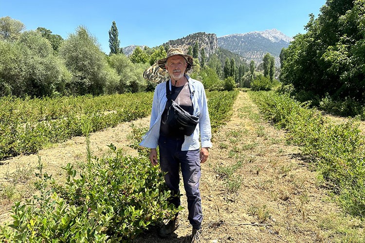 Emekli gurbetçi, Isparta'da aronya bahçesi kurdu