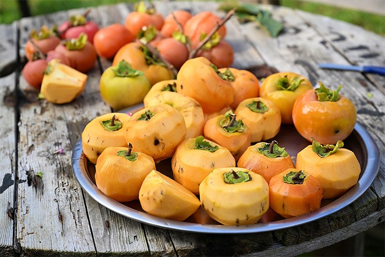 "Trabzon hurması"nda hasat dönemi başladı