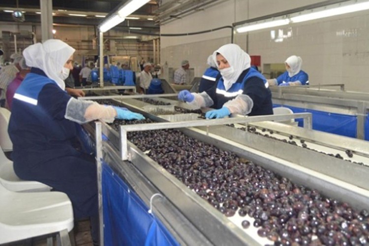 Son ödemeyi yarın yapacak