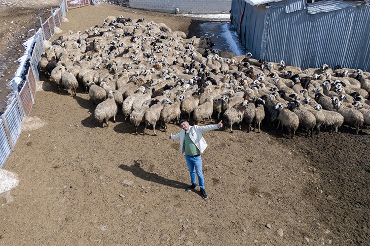 Hem okuyor hem hayvan yetiştiriyor