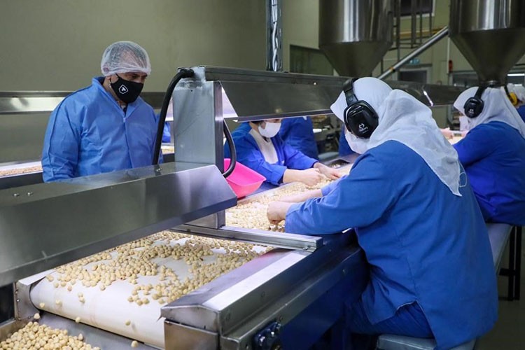 Fındık kırma fabrikaları işçi istihdamına katkı sağlıyor