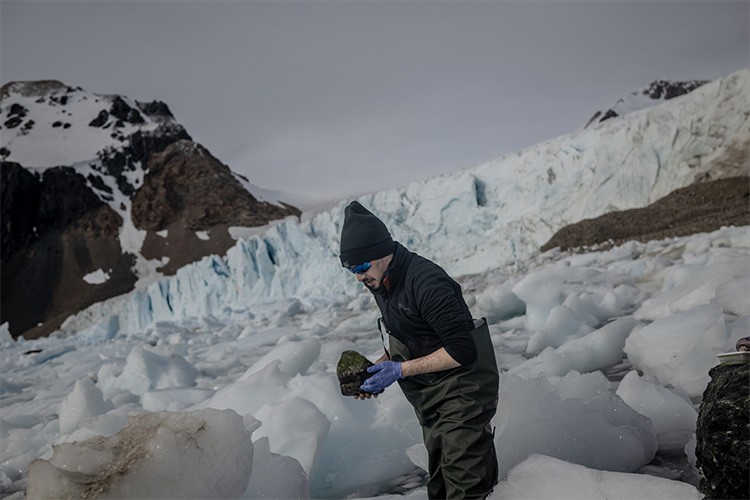 Antarktika'da insanların su ekosistemlerine etkileri