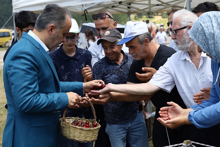 Bursa'da üretilen "Keles kirazı"nın coğrafi işaret tescili yapıldı