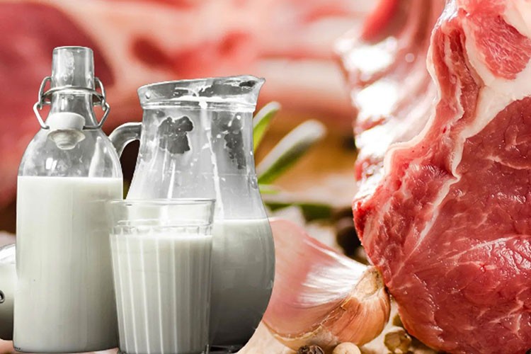 "Et ve sütte fiyatlar üreticiler tarafından belirlensin"