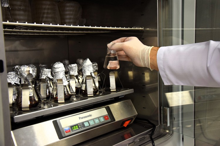 Üniversite araştırmaları sürüyor