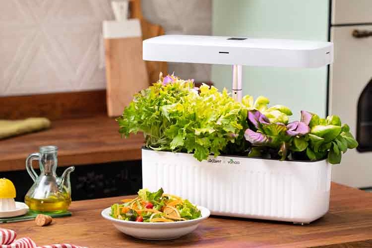 Annenize sevginizi her gün gösterecek hediyeler Arzum'dan