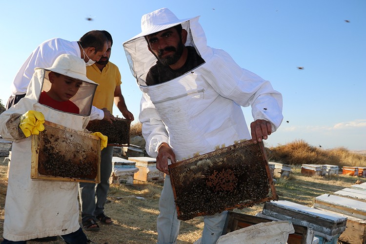 Şanlıurfa'da işletmeler TKDK destekleriyle hayat buluyor