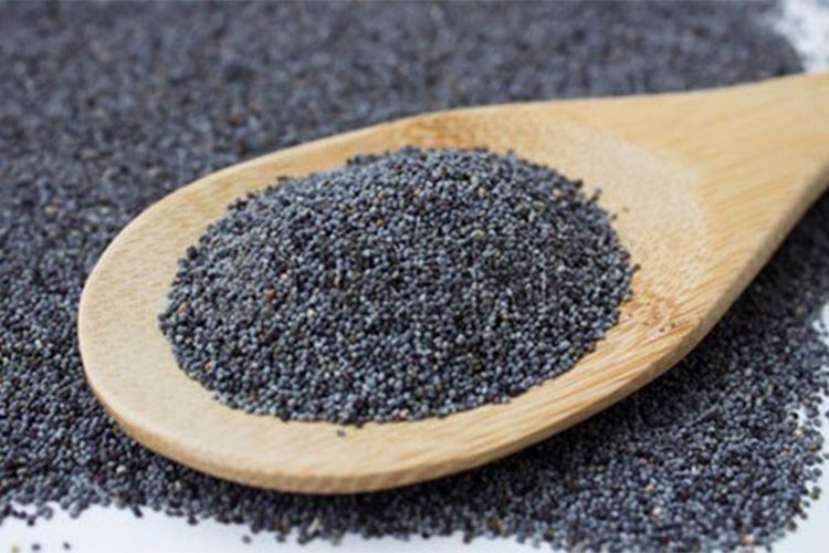 Haşhaş tohumu satışı için talep toplamaya başlandı