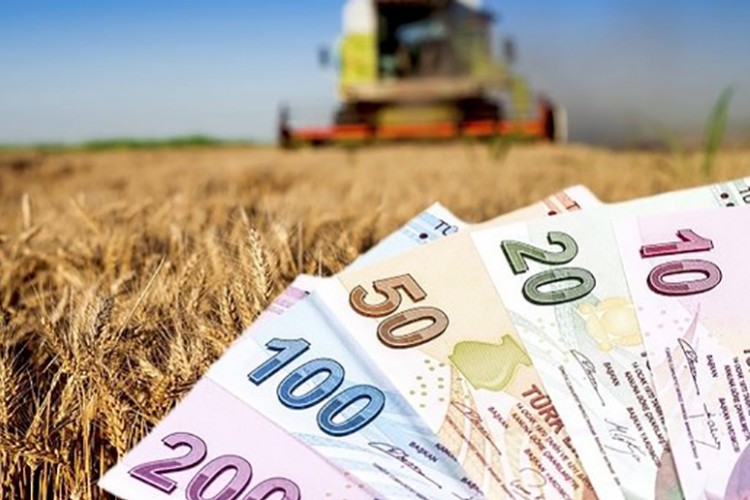 Tarımsal destek ödemeleri bugün yapılacak