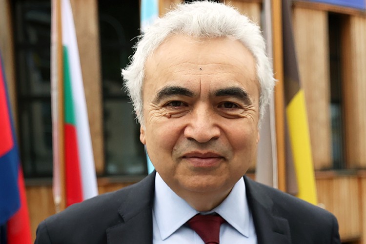 "Kömüre çok ciddi bir eğilim gelebilir