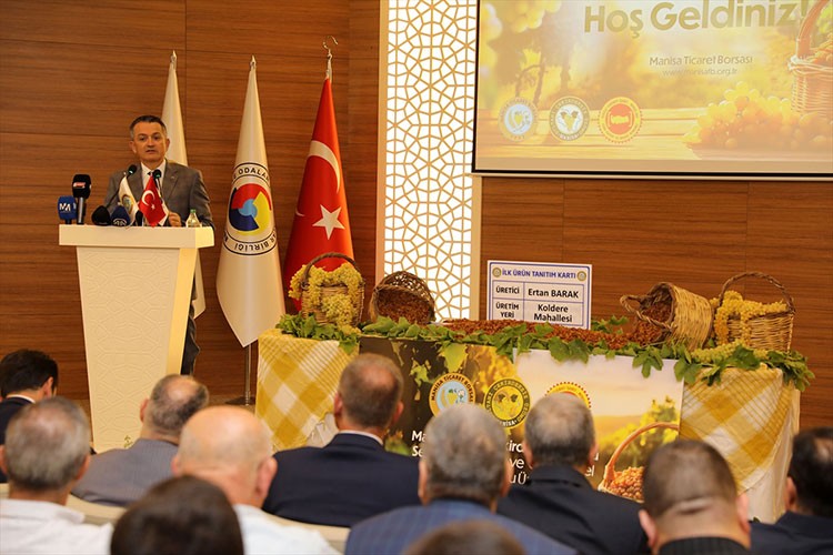 Manisa'da çekirdeksiz kuru üzüm alımı, törenle başladı