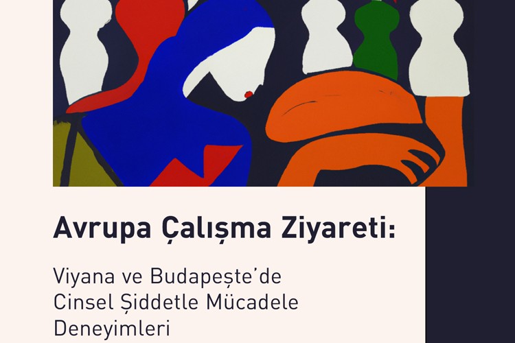 Mor Çatı'dan yeni yayın