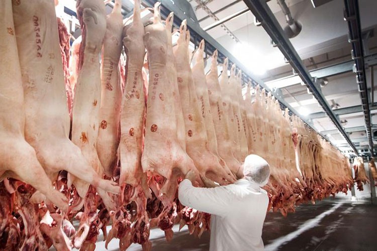 Almanya'da et niye ucuz?..