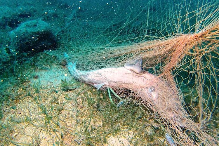 Denizlerden 224 futbol sahası büyüklüğünde hayalet ağ çıkarıldı