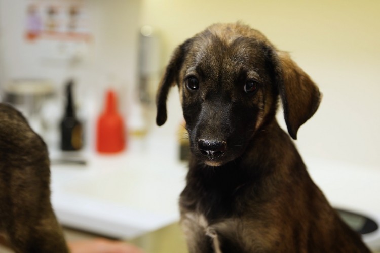 Kalyon Holding sokakların sessiz kahramanlarını unutmadı